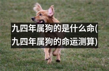 <h3>九四年属狗的是什么命(九四年属狗的命运测算)
