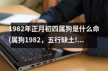 1982年正月初四属狗是什么命(属狗1982，五行缺土!)