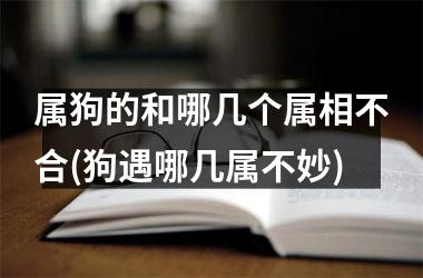 属狗的和哪几个属相不合(狗遇哪几属不妙)