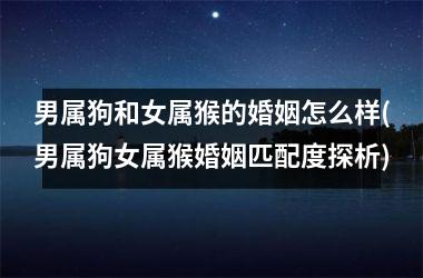 男属狗和女属猴的婚姻怎么样(男属狗女属猴婚姻匹配度探析)