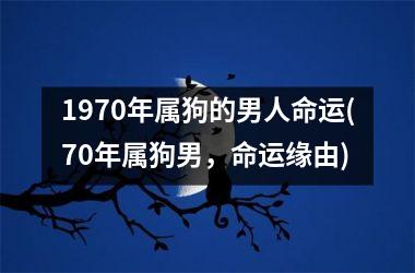 <h3>1970年属狗的男人命运(70年属狗男，命运缘由)