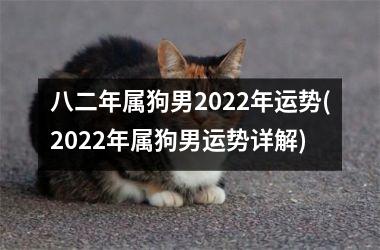 八二年属狗男2025年运势(2025年属狗男运势详解)