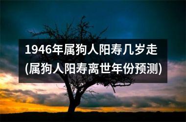 <h3>1946年属狗人阳寿几岁走(属狗人阳寿离世年份预测)