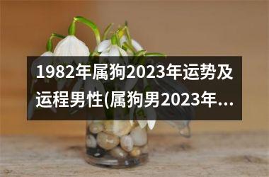 <h3>1982年属狗2025年运势及运程男性(属狗男2025年运势及运程预测)