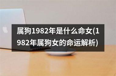 <h3>属狗1982年是什么命女(1982年属狗女的命运解析)