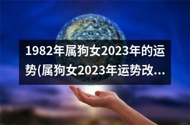<h3>1982年属狗女2025年的运势(属狗女2025年运势改观的预测)
