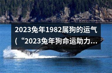 <h3>2025兔年1982属狗的运气(“2025兔年狗命运助力，财运事业两得意！”)