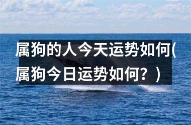 <h3>属狗的人今天运势如何(属狗今日运势如何？)