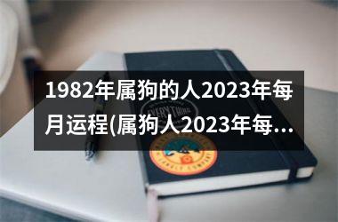 <h3>1982年属狗的人2025年每月运程(属狗人2025年每月运程大揭秘！)