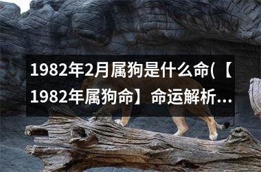<h3>1982年2月属狗是什么命(【1982年属狗命】命运解析与运势分析)