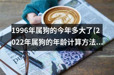 1996年属狗的今年多大了(2025年属狗的年龄计算方法及年龄预测)