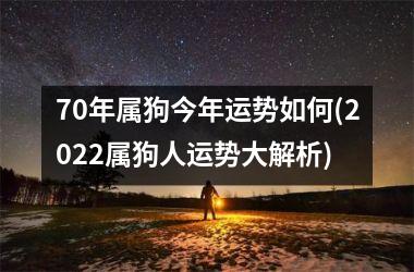 <h3>70年属狗今年运势如何(2025属狗人运势大解析)