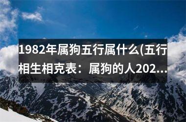 <h3>1982年属狗五行属什么(五行相生相克表：属狗的人2025年运势如何？)