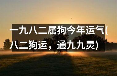 <h3>一九八二属狗今年运气(八二狗运，通九九灵)