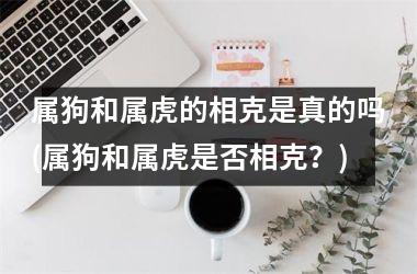 <h3>属狗和属虎的相克是真的吗(属狗和属虎是否相克？)