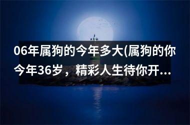 <h3>06年属狗的今年多大(属狗的你今年36岁，精彩人生待你开启！)