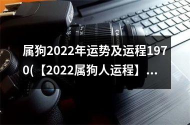 <h3>属狗2025年运势及运程1970(【2025属狗人运程】幸运照耀，好机会接踵而来！)