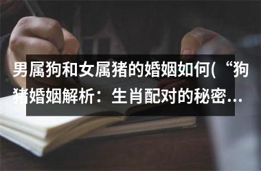 <h3>男属狗和女属猪的婚姻如何(“狗猪婚姻解析：生肖配对的秘密”)