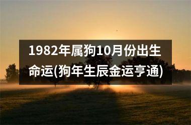 <h3>1982年属狗10月份出生命运(狗年生辰金运亨通)