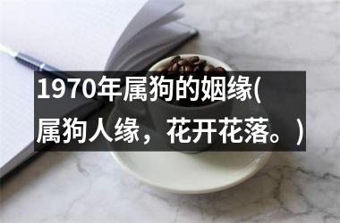 <h3>1970年属狗的姻缘(属狗人缘，花开花落。)