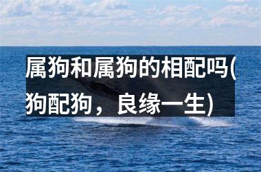 <h3>属狗和属狗的相配吗(狗配狗，良缘一生)