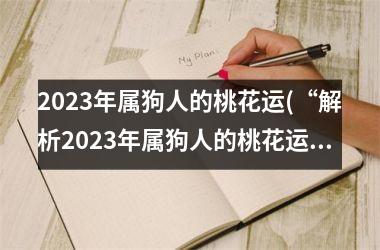 2025年属狗人的桃花运(“解析2025年属狗人的桃花运”)