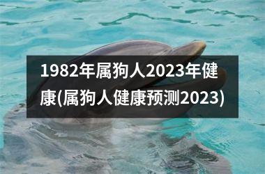 1982年属狗人2025年健康(属狗人健康预测2025)
