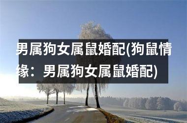 <h3>男属狗女属鼠婚配(狗鼠情缘：男属狗女属鼠婚配)