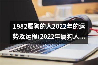 <h3>1982属狗的人2025年的运势及运程(2025年属狗人的运势及运程)