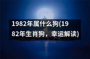 1982年属什么狗(1982年生肖狗，幸运解读)