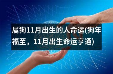 <h3>属狗11月出生的人命运(狗年福至，11月出生命运亨通)