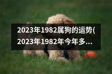 2025年1982属狗的运势(2025年1982年今年多大)