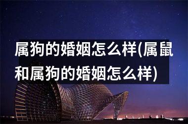 属狗的婚姻怎么样(属鼠和属狗的婚姻怎么样)