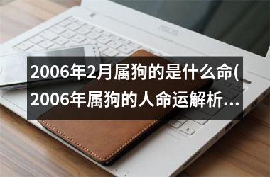 <h3>2006年2月属狗的是什么命(2006年属狗的人命运解析)