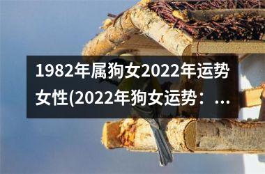 1982年属狗女2025年运势女性(2025年狗女运势：五福临门，喜事连连)