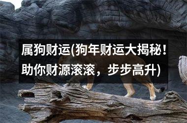 <h3>属狗财运(狗年财运大揭秘！助你财源滚滚，步步高升)