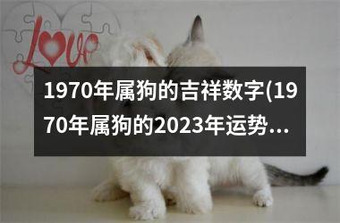 <h3>1970年属狗的吉祥数字(1970年属狗的2025年运势和财运怎么样)