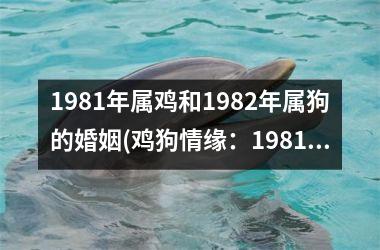 <h3>1981年属鸡和1982年属狗的婚姻(鸡狗情缘：1981、1982年相守一生)