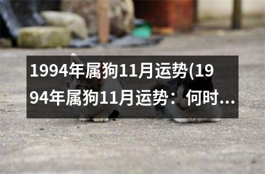 <h3>1994年属狗11月运势(1994年属狗11月运势：何时能谋得一席之地？)