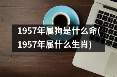 <h3>1957年属狗是什么命(1957年属什么生肖)