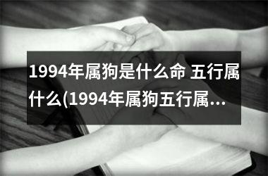 1994年属狗是什么命 五行属什么(1994年属狗五行属什么，命运如何？（29字）)