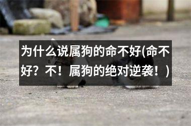 <h3>为什么说属狗的命不好(命不好？不！属狗的绝对逆袭！)
