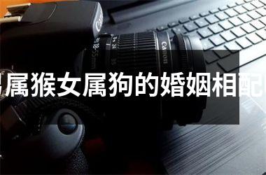 <h3>男属猴女属狗的婚姻相配吗