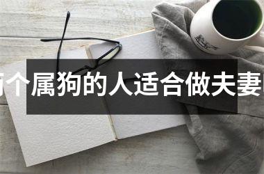 <h3>两个属狗的人适合做夫妻吗