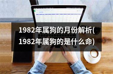 <h3>1982年属狗的月份解析(1982年属狗的是什么命)