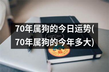 70年属狗的今日运势(70年属狗的今年多大)