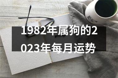 <h3>1982年属狗的2025年每月运势
