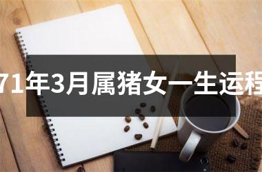 71年3月属猪女一生运程