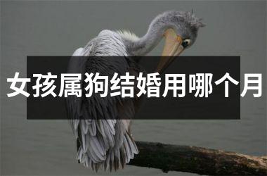 女孩属狗结婚用哪个月