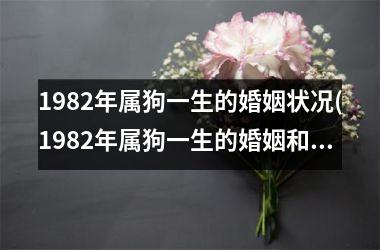 <h3>1982年属狗一生的婚姻状况(1982年属狗一生的婚姻和命运)